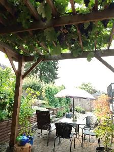 2 Beds 1 Bath basement suite in West CoquitlamCA$1,800 / Month - Photo 3