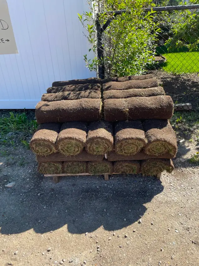 Free 600 sq soft Sod and Soil