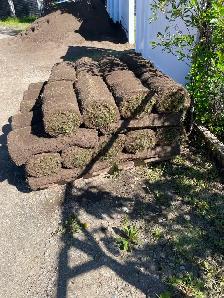 Free 600 sq soft Sod and Soil - Photo 2