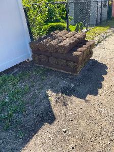 Free 600 sq soft Sod and Soil - Photo 3