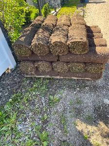 Free 600 sq soft Sod and Soil - Photo 4