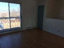 Superbe appartement 4 1/2 avenue Ross