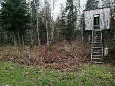 terrain de chasse a louer - Photo 2