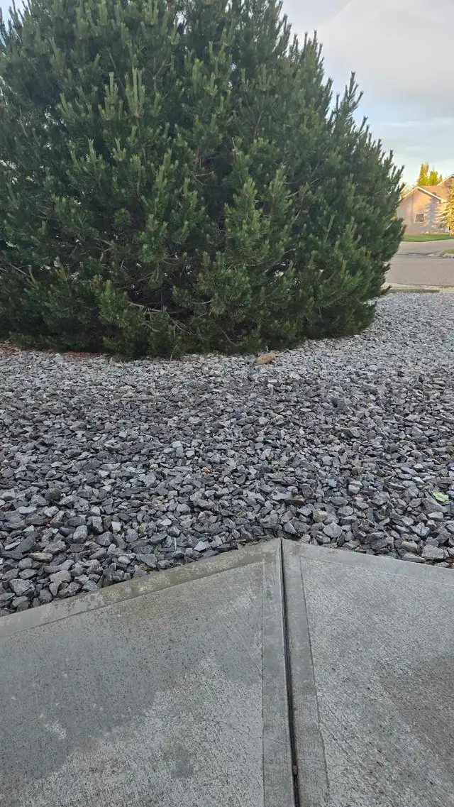 Yard stones