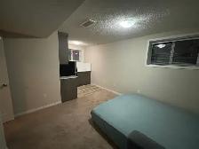 Basement Fully Furnished - Photo 3