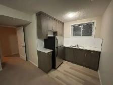 Basement Fully Furnished - Photo 4