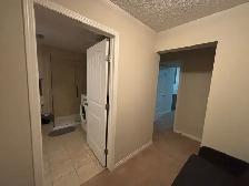 Basement Fully Furnished - Photo 5