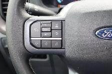 2025 Ford F-150 XLT - Photo 6