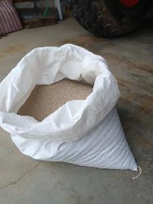 Grass/Hay Seed - Photo 2