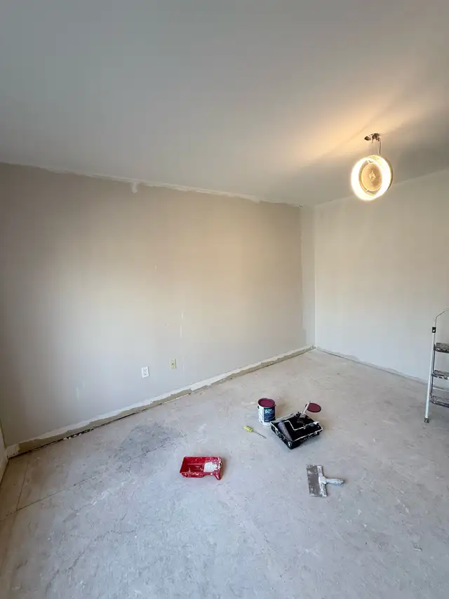 affordable painter