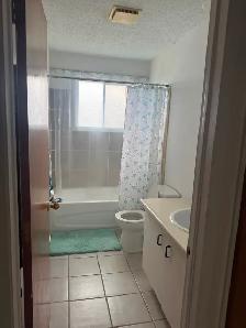 Apt a louer, for rent - Photo 2