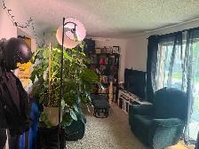 For rent, apt a louer - Photo 7