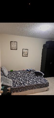 Two bedrooms available in house for rent