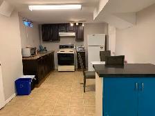 One BR available in 2 BR   basement  mississauga for one male - Photo 3