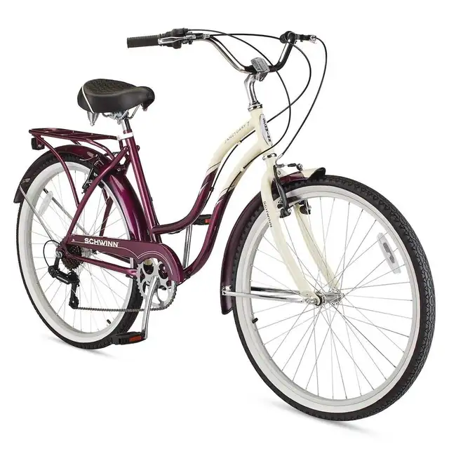 Schwinn Cruiser