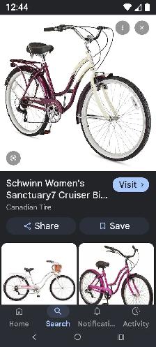 Schwinn Cruiser - Photo 2