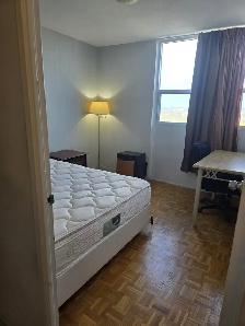 Furnished Room for rent in High rise Building Islington Subway - Photo 3