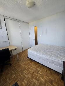 Furnished Room for rent in High rise Building Islington Subway - Photo 4