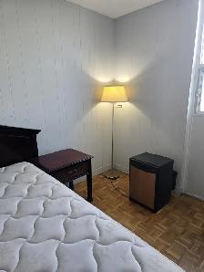 Furnished Room for rent in High rise Building Islington Subway - Photo 6