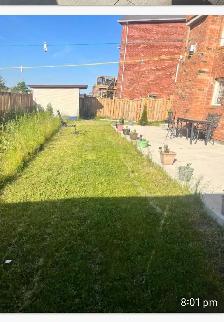 BACHELOR/STUDIO APPARTMENT FOR RENT IN BRAMPTON - Photo 3