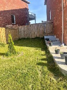 BACHELOR/STUDIO APPARTMENT FOR RENT IN BRAMPTON - Photo 5