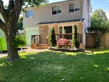 Deck / carpentry contractor - Photo 10