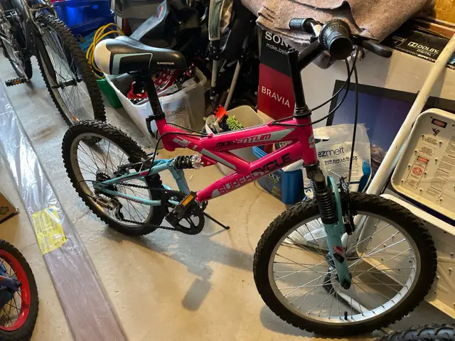youth girls  mountain bike 20"