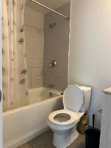 1 Bedroom   Den Condo For Lease Yonge/Wellesley - Photo 8