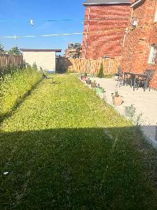 BACHELOR/STUDIO APPARTMENT FOR RENT IN BRAMPTON - Photo 2