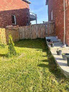BACHELOR/STUDIO APPARTMENT FOR RENT IN BRAMPTON - Photo 3