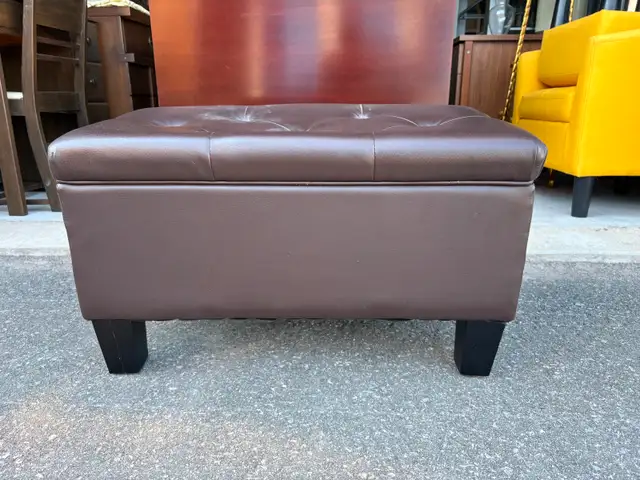 Foot Stool with Storage