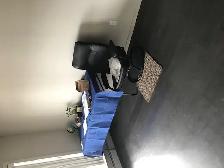 Condo for Rent – Windermere, EdmontonAvailable July 1, 2026 - Photo 3