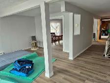 3 1 BDR Lower Unit for Rent – Gatineau (Hull) June/July 1st - Photo 9