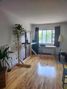3½ lumineux à Villeray – Sous location ou cession de bail - Photo 2