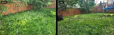Grass Cutting - $50 - Photo 2