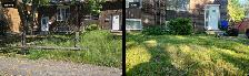 Grass Cutting - $50 - Photo 3