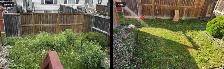 Grass Cutting - $50 - Photo 4
