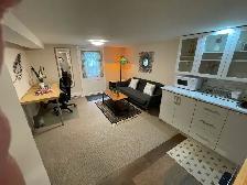 Spacious, newly renovated, 1 bedroom basement apt by Kipling Stn - Photo 3
