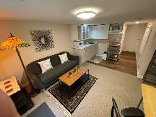 Spacious, newly renovated, 1 bedroom basement apt by Kipling Stn - Photo 4