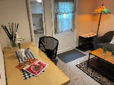 Spacious, newly renovated, 1 bedroom basement apt by Kipling Stn - Photo 5