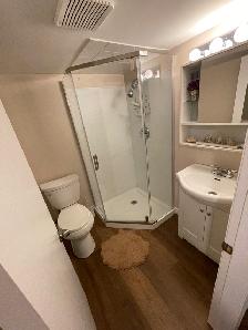 Spacious, newly renovated, 1 bedroom basement apt by Kipling Stn - Photo 7