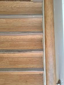 cleaning home/carpet/upholstery/deep clean/standard clean - Photo 2