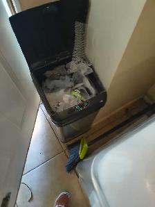 cleaning home/carpet/upholstery/deep clean/standard clean - Photo 3