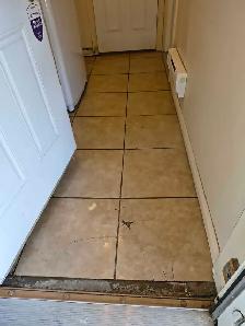 cleaning home/carpet/upholstery/deep clean/standard clean - Photo 6