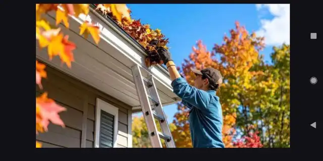 affordable eavesdrough  cleaning