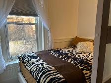 SEPTEMBER 1ST: Furnished uptown Junior one-bedroom, to call home - Photo 4