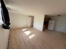 Newly renovated 2 bed ,4 plex lower unit. Across from park - Photo 3