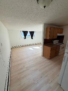 Newly renovated 2 bed ,4 plex lower unit. Across from park - Photo 4
