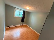 Newly renovated 2 bed ,4 plex lower unit. Across from park - Photo 6