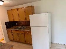 Newly renovated 2 bed ,4 plex lower unit. Across from park - Photo 8
